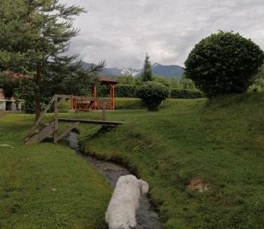 Arpasu de Sus Casa | Casa de vacanța Marin