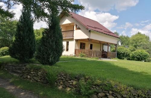Arpasu de Sus Casa | Casa de vacanța Marin