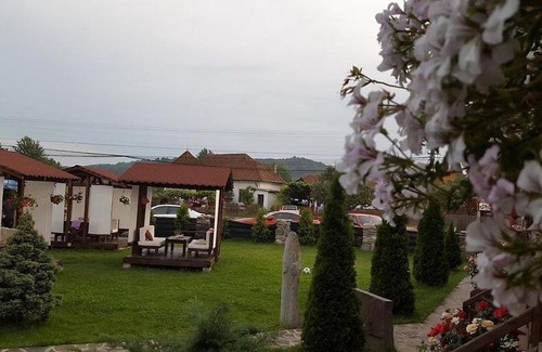 Albestii Paminteni Casa | Casa de vacanța Valea Argesului