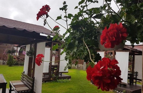 Albestii Paminteni Casa | Casa de vacanța Valea Argesului