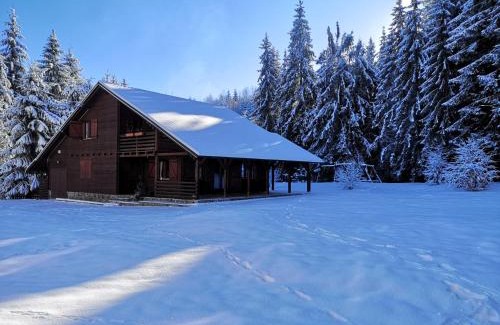 Toplita Casa | Casa de Vacanta Dintre Brazi