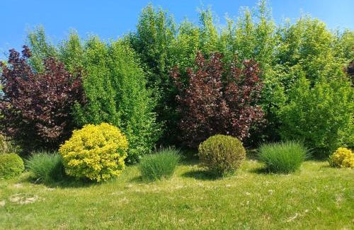 Beclean Casa | Casa de vacanta ROUA DIMINETII