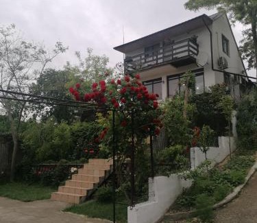 Dunavatu de Jos Casa | Casa de Vacanta Simfonia Apelor