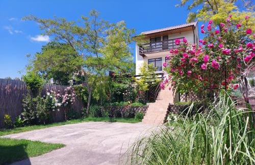 Dunavatu de Jos Casa | Casa de Vacanta Simfonia Apelor