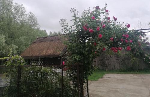 Dunavatu de Jos Casa | Casa de Vacanta Simfonia Apelor