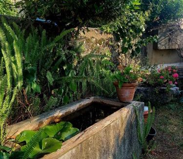 Querceta Apartamento | Casa Deanna