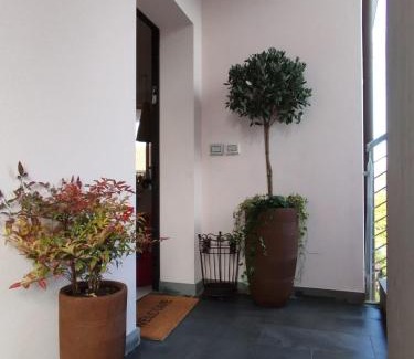 Lucca Historical Center Apartamento | Casa degli Aromi