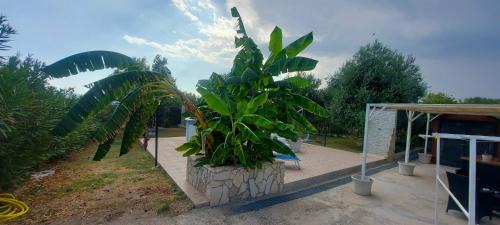 Syracuse Apartamento | Casa degli Ulivi