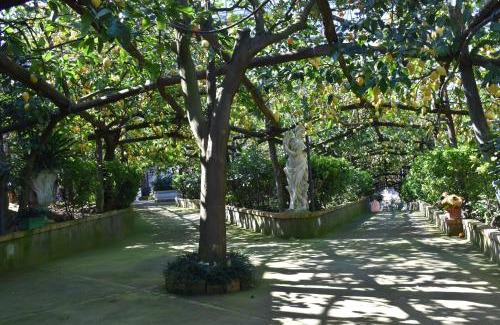 Schiazzano Apartamento | casa dei limoni