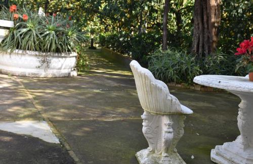 Schiazzano Apartamento | casa dei limoni