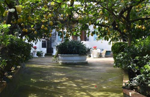 Schiazzano Apartamento | casa dei limoni