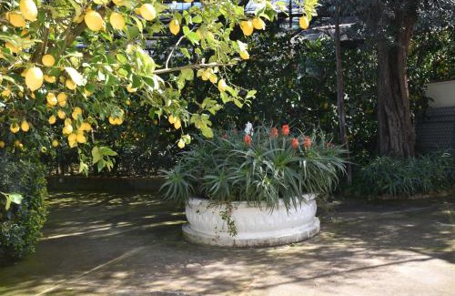 Schiazzano Apartamento | casa dei limoni