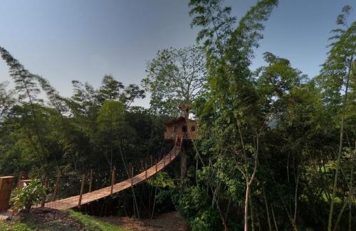 La Pena Otro | Casa del árbol Mirador Peñero