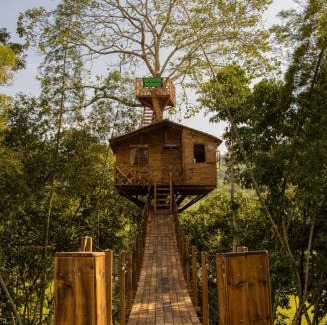 La Pena Otro | Casa del árbol Mirador Peñero