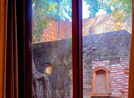 El Guayabal Hotel | Casa del Arbol