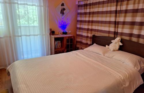 Gilau Casa | Casa Delia