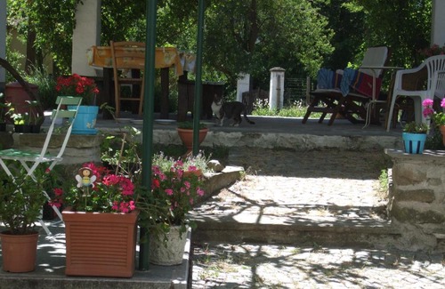 Mioglia Apartamento | Casa di Alfredo Apartment - CITR9039