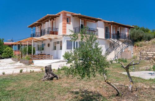 Paliki Apartamento | Casa di Colona Studio