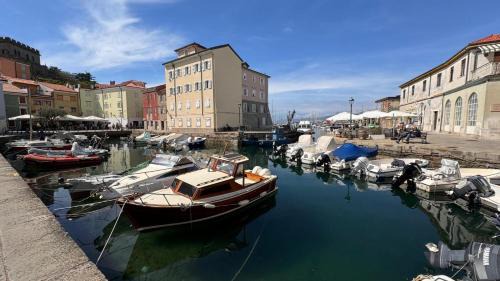 Muggia Apartamento | Casa di Giovanni - Italien