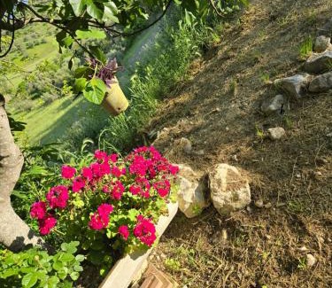 Case Fornace Cabina | Casa di Giusy