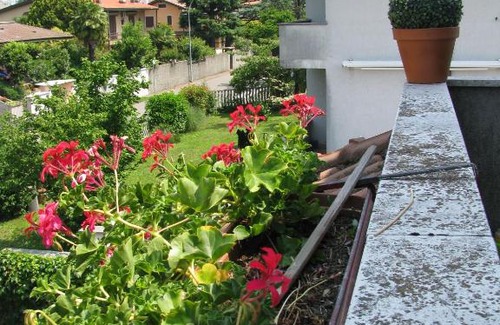 Parabiago Casa | Casa di Loretta