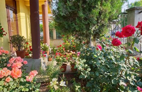 2 Mai Casa | Casa di Madi