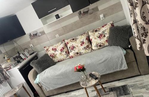 Salcia Casa | Casa Diamandi