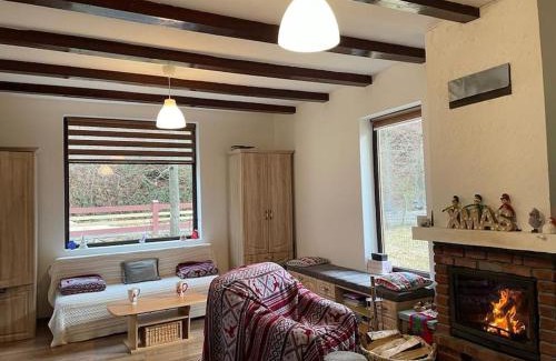Banita Casa | Casa din Pădure