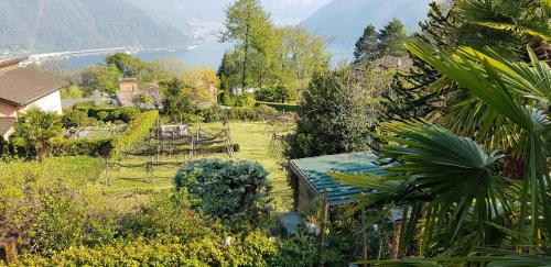 Carona Casa | Casa Dina