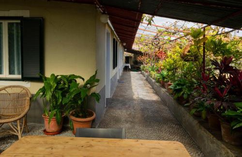 Gaula Casa | CASA do BOTO