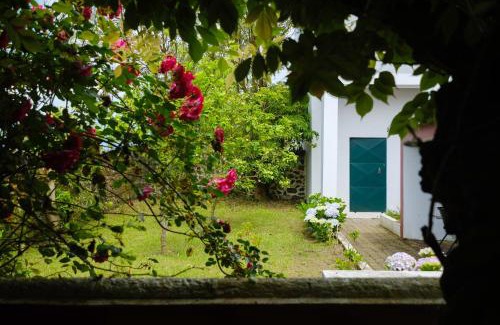 Achadinha Casa | Casa do Lenho