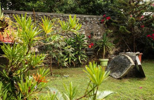 Ribeira Grande Casa | Casa do Pico Arde