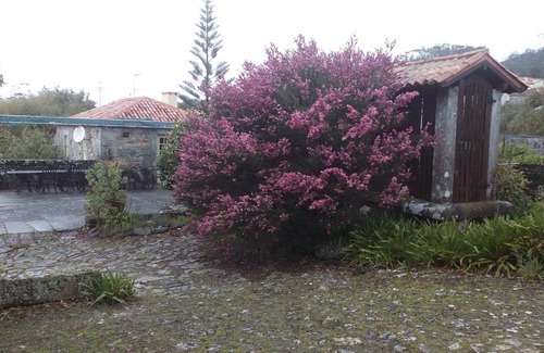Afife Casa | Casa do Refilo