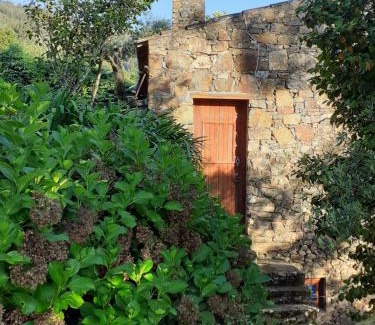 Aguas Belas Casa | Casa do Tôjo e Rosmaninho