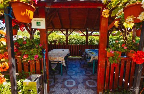 Sfantu Gheorghe Casa | Casa Dochia