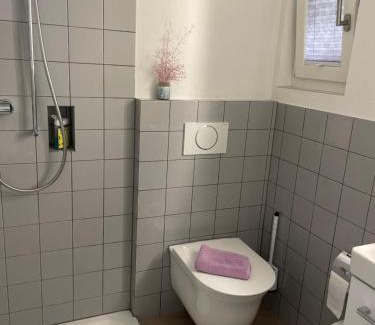 Mattenhof-Weissenbuhl Casa | Casa Dora