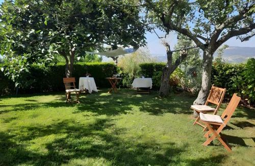 Galegos Casa | Casa dos Bisavós- Slow Down na rota do Românico