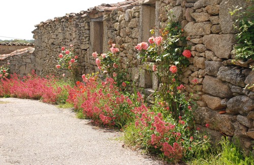 Miranda do Douro Casa | Casa de los Edras - Family Guest House 16 personas