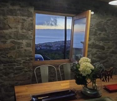 Calheta Casa | Casa dos Gatos