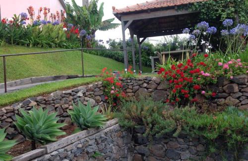 Calheta Casa | Casa dos Gatos