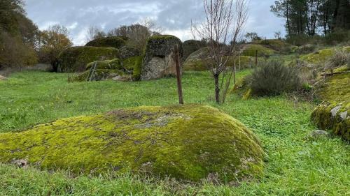 Pinhel Casa | Casa dos Moinhos de Aveia