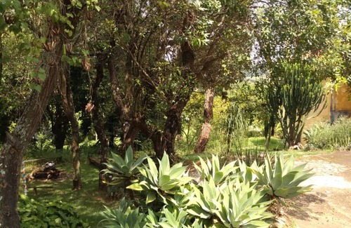 Campinas Cabaña | Casa dos Ventos. Um Lugar pra vc Entrar em Contato com a Natureza