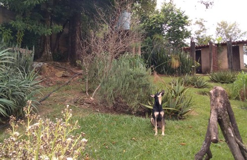 Campinas Cabaña | Casa dos Ventos. Um Lugar pra vc Entrar em Contato com a Natureza