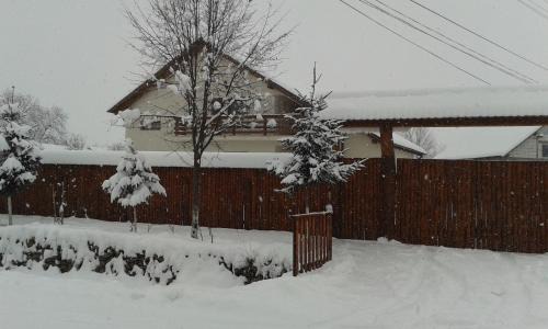 Dragus Casa | Casa Dragusana