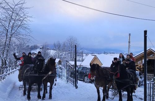 Bran Casa | Casa Drumul dintre Munti