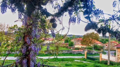 Santa Gadea Apartamento | CASA DRUNA LEE ; CASA EN EL CAMPO
