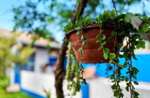 Rio Vermelho Sul Casa | Casa e piscina com muita natureza - MCC216