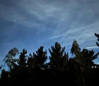Pichilemu Casa | Casa Eco Bosque