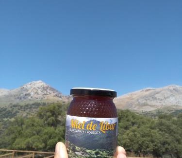 Jimera de Libar Casa | CASA EL CANTÓN