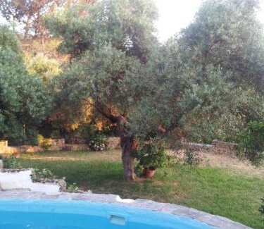 El Bosque Chalet De Esquí | CASA EL CERRO